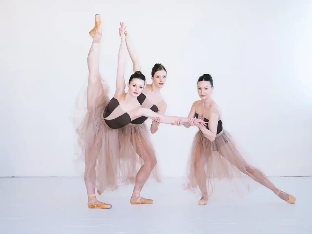 Three Rochester City Ballet dancers pose together in flowing tulle costumes.