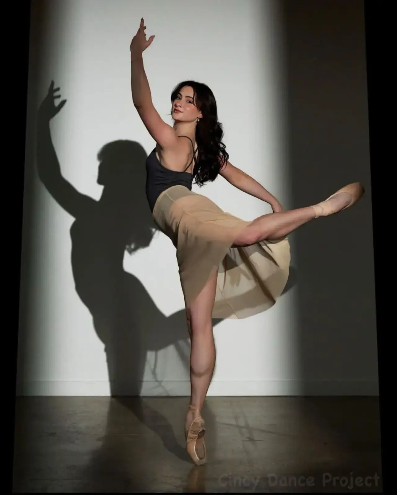 Ballet dancer posing en pointe in a spotlight with shadow.