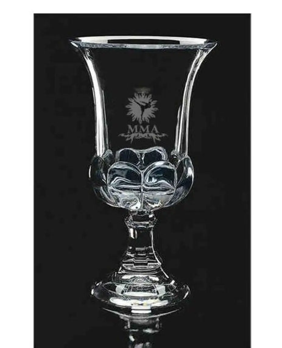Mixed Martial Arts Leaded Crystal Cup