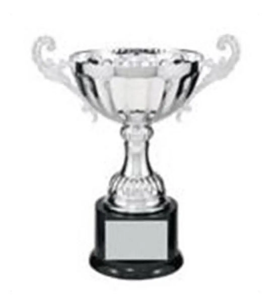 Silver Metal Cup with Handles