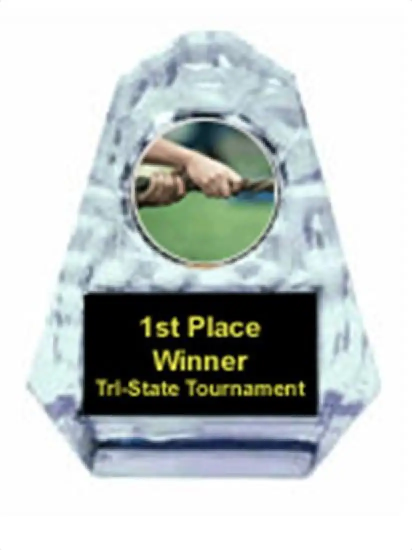 Tug of War Sculpted Ice Award