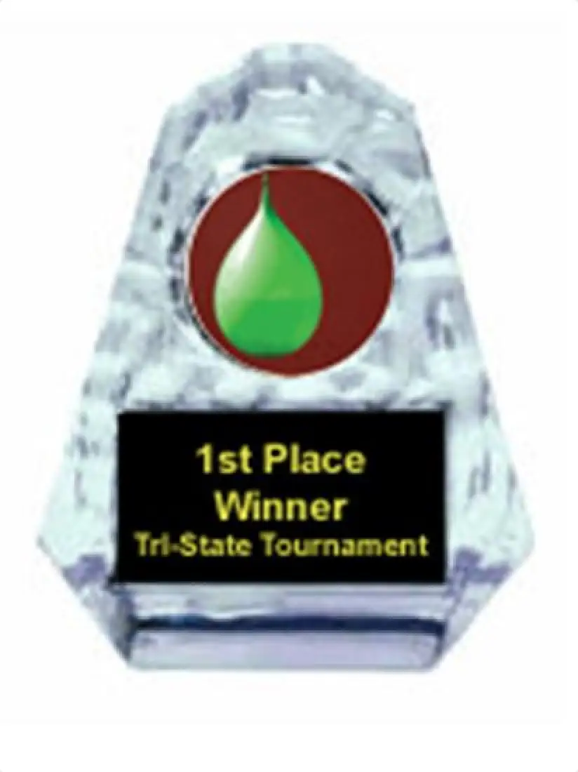 Water Balloon Toss Sculpted Ice Award