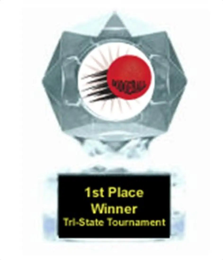 Dodgeball Blue Star Award
