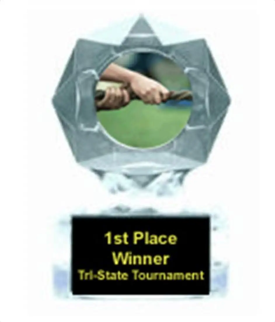 Tug of War Blue Star Award