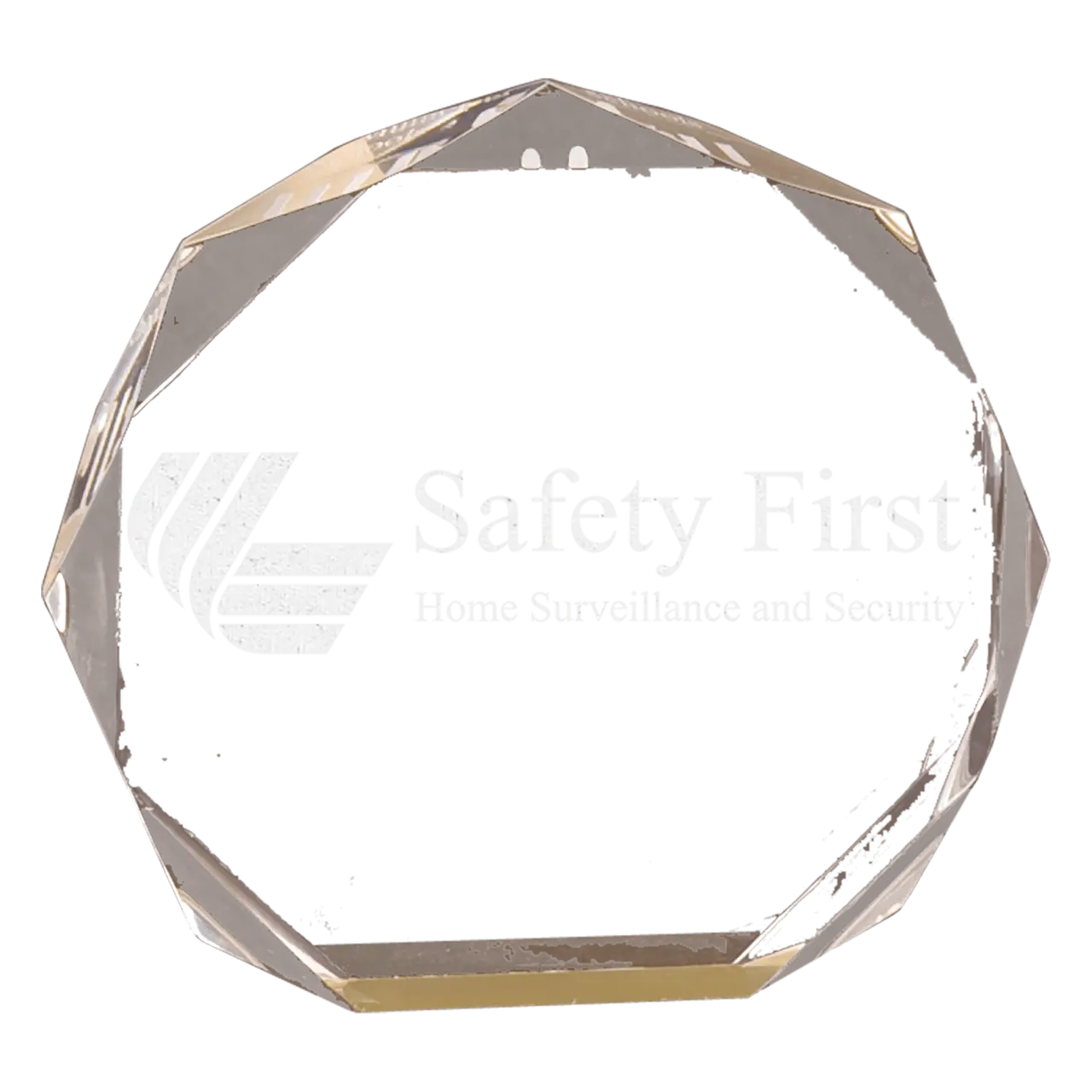 Self Standing Acrylic Octagon Award