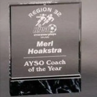 Acrylic Fusion Award