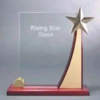 Rising Star Glass Award