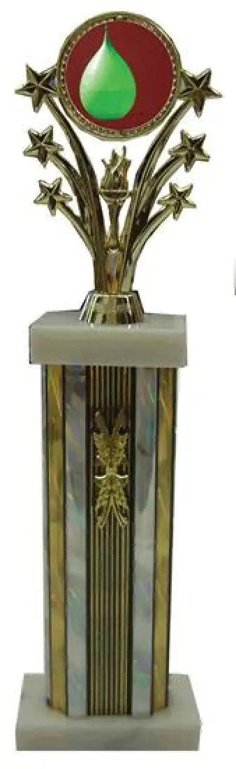 Star Column Water Balloon Toss Trophies