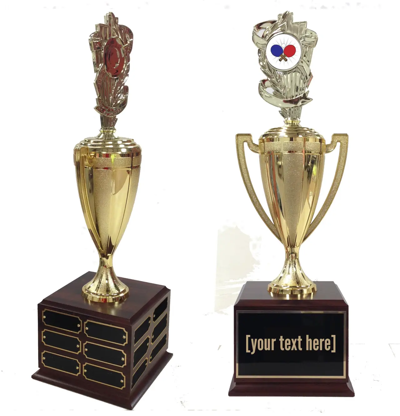 Ping Pong Traveling Trophy