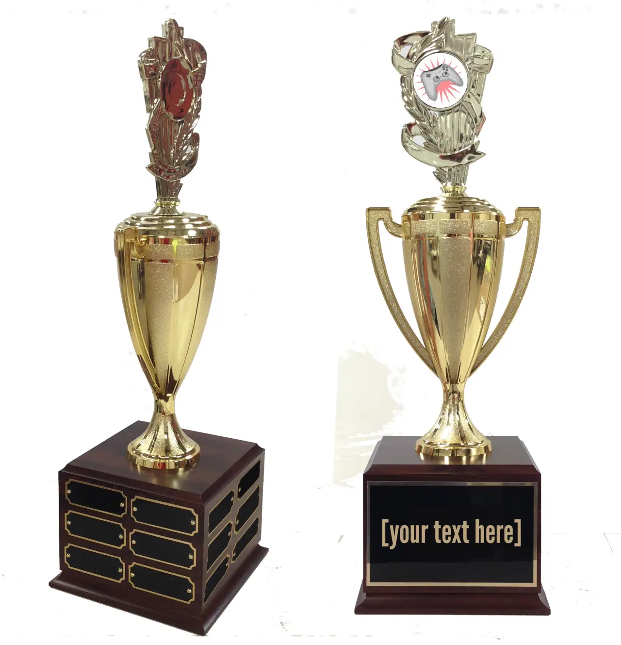 Playstation Traveling Trophy