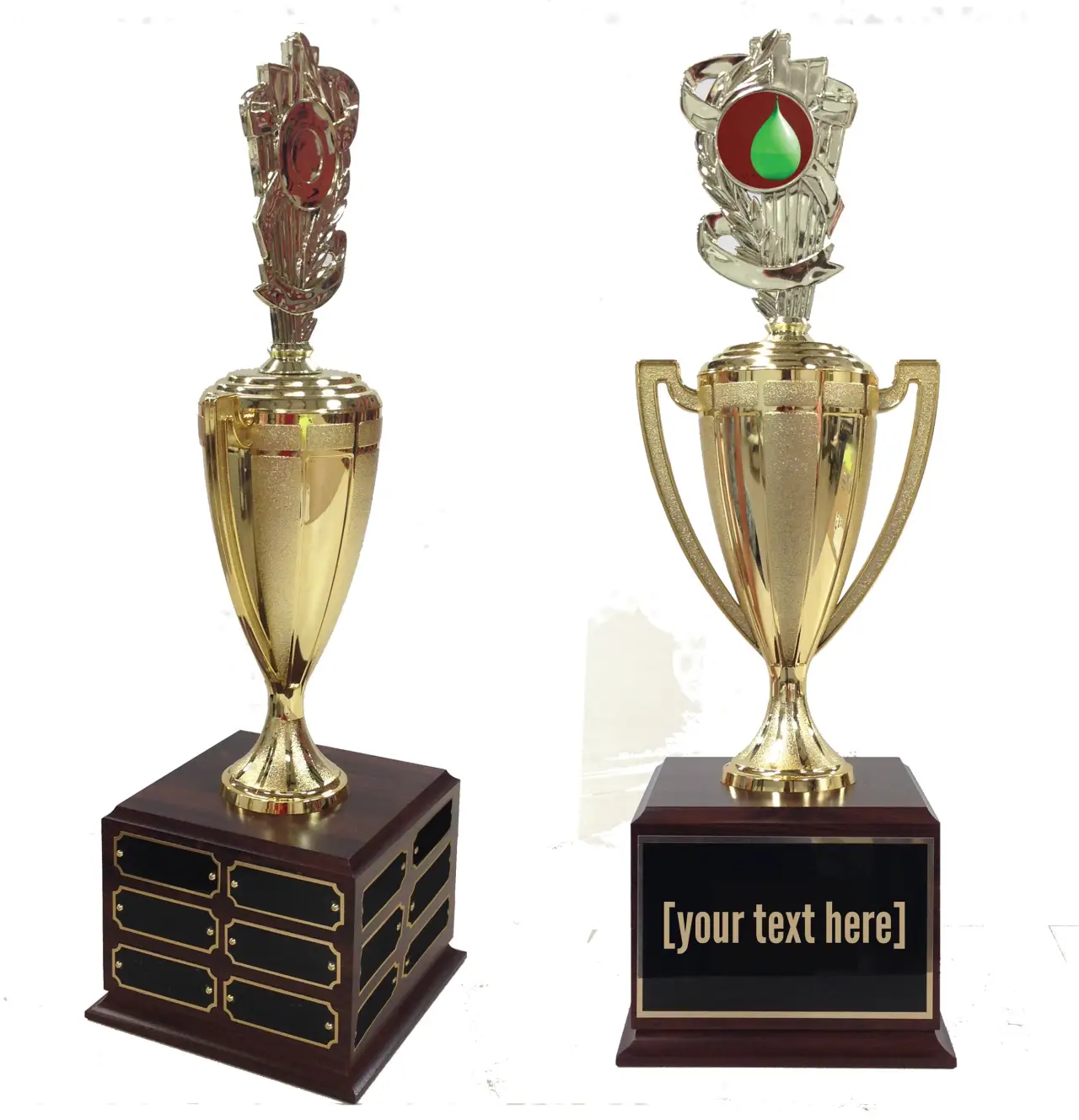 Water Balloon Traveling Trophy