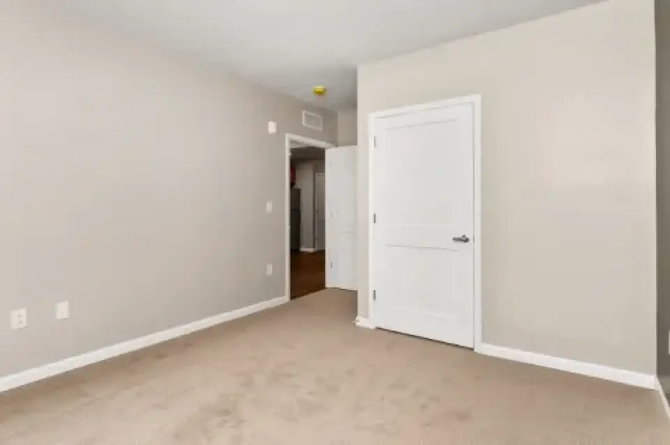 Carpeted bedroom with gray walls and white closet door.