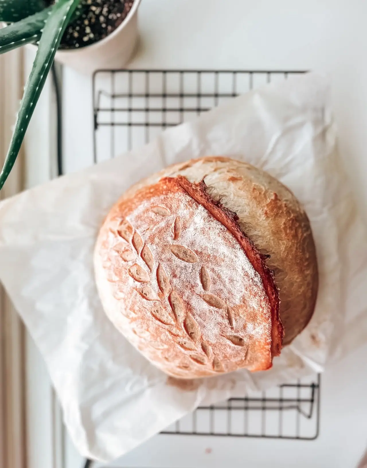 Classic Sourdough Loaf