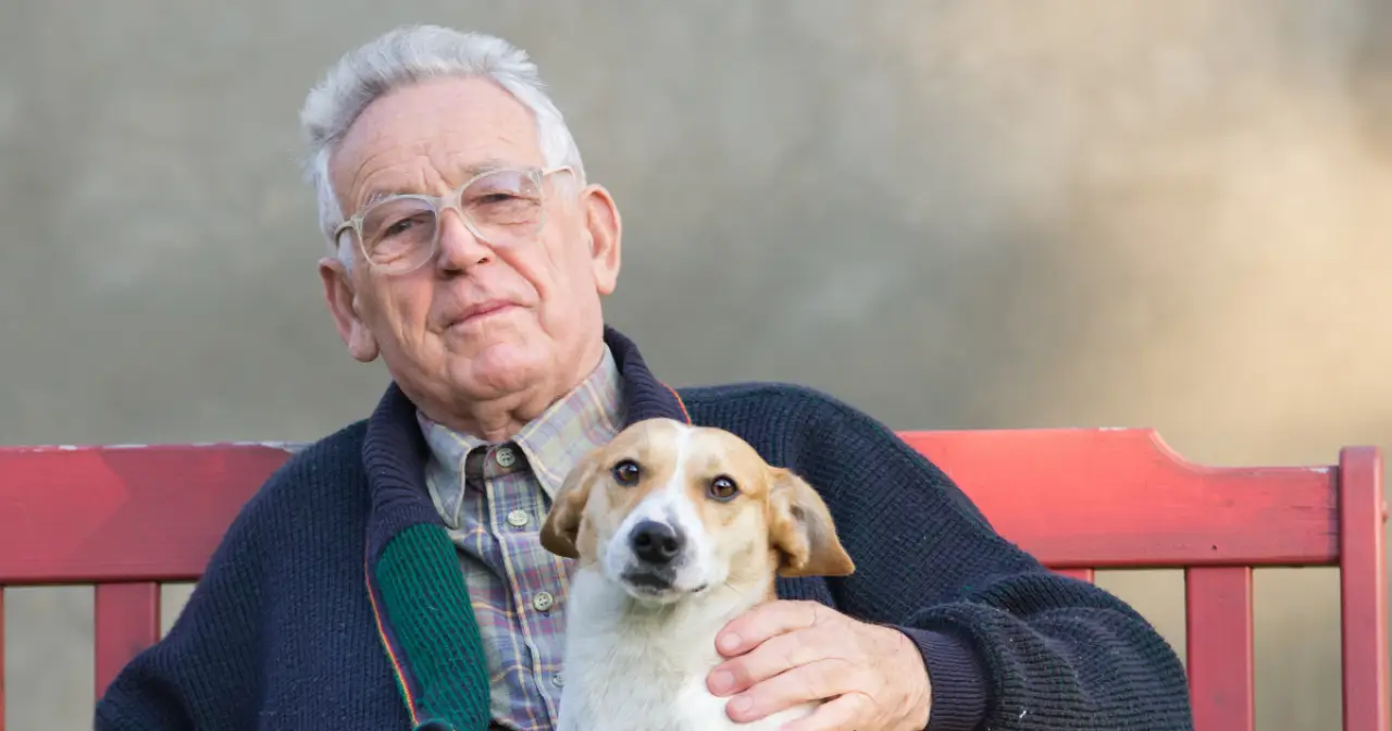 Estate Planning for Pets in New York State: What Every Pet Owner Should Know