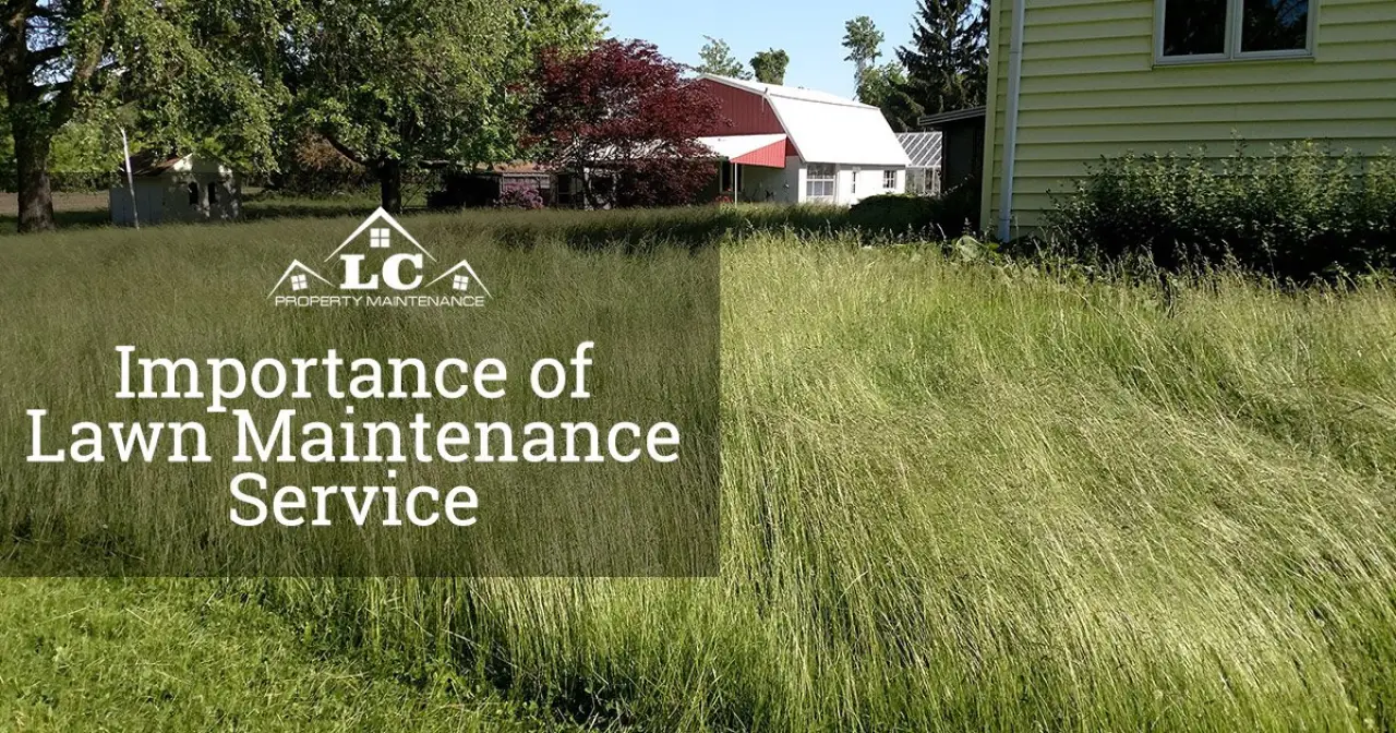 The Importance of Lawn Maintenance Service