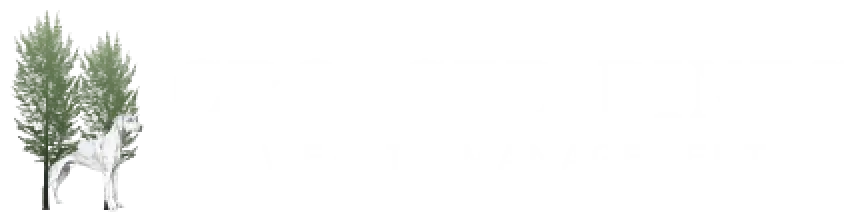 Crossed Pines Wealth Management