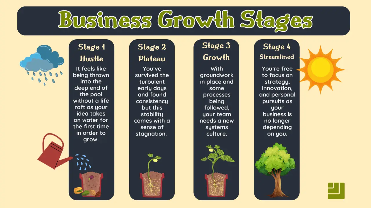 From Chaos to Clarity - Navigating Business Growth