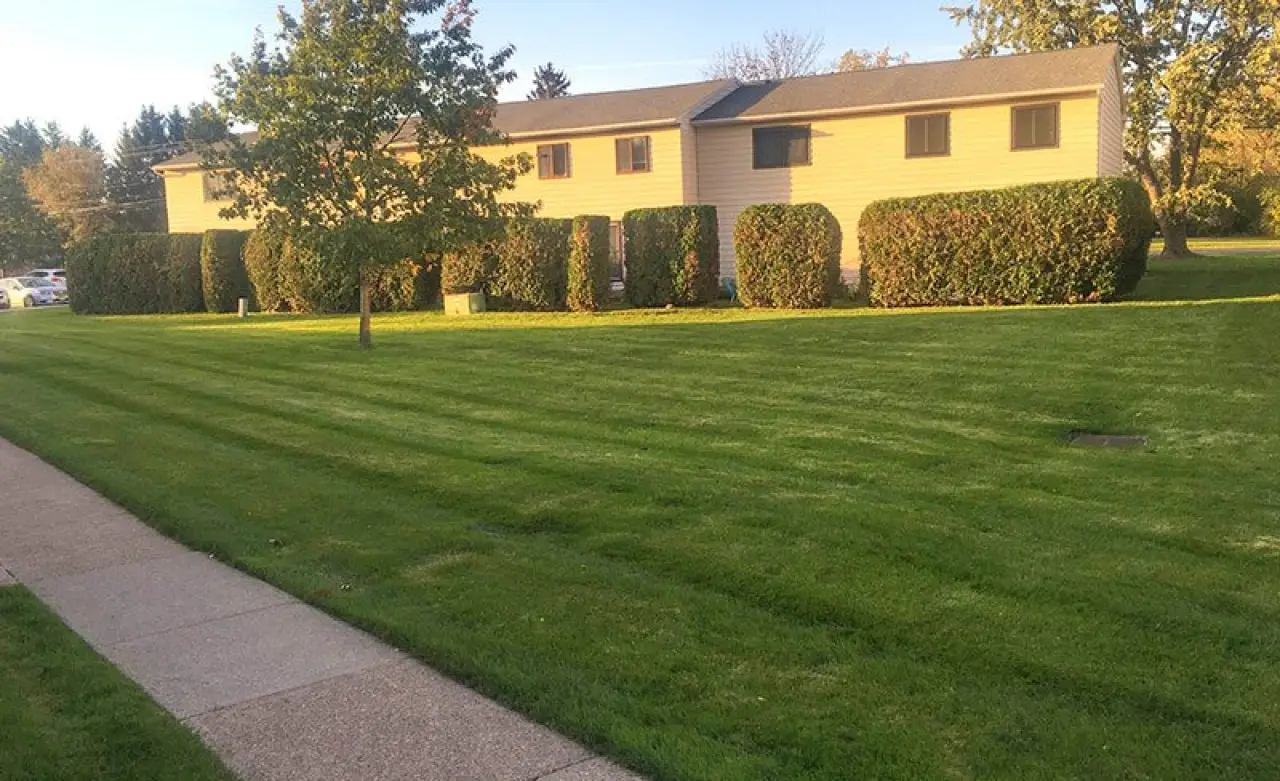 Landscaping Services