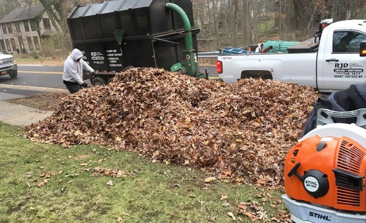 Spring and Fall Cleanup