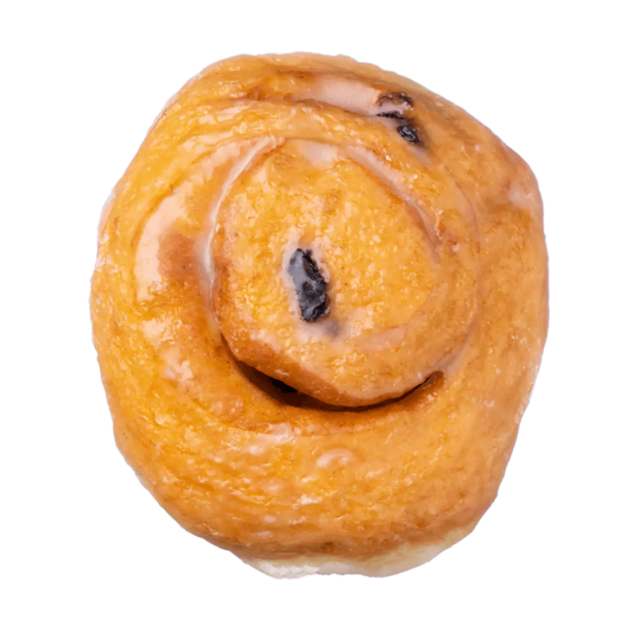 Raisin Bun