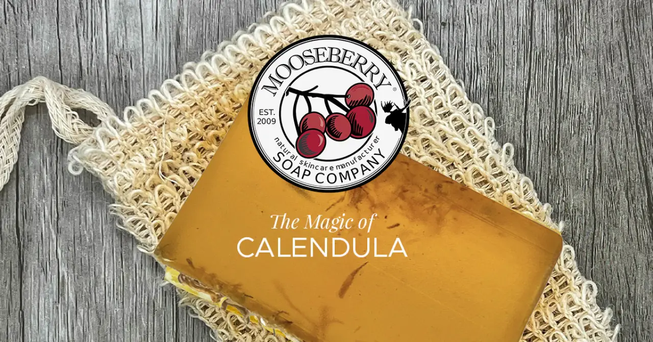 the magic of calendula