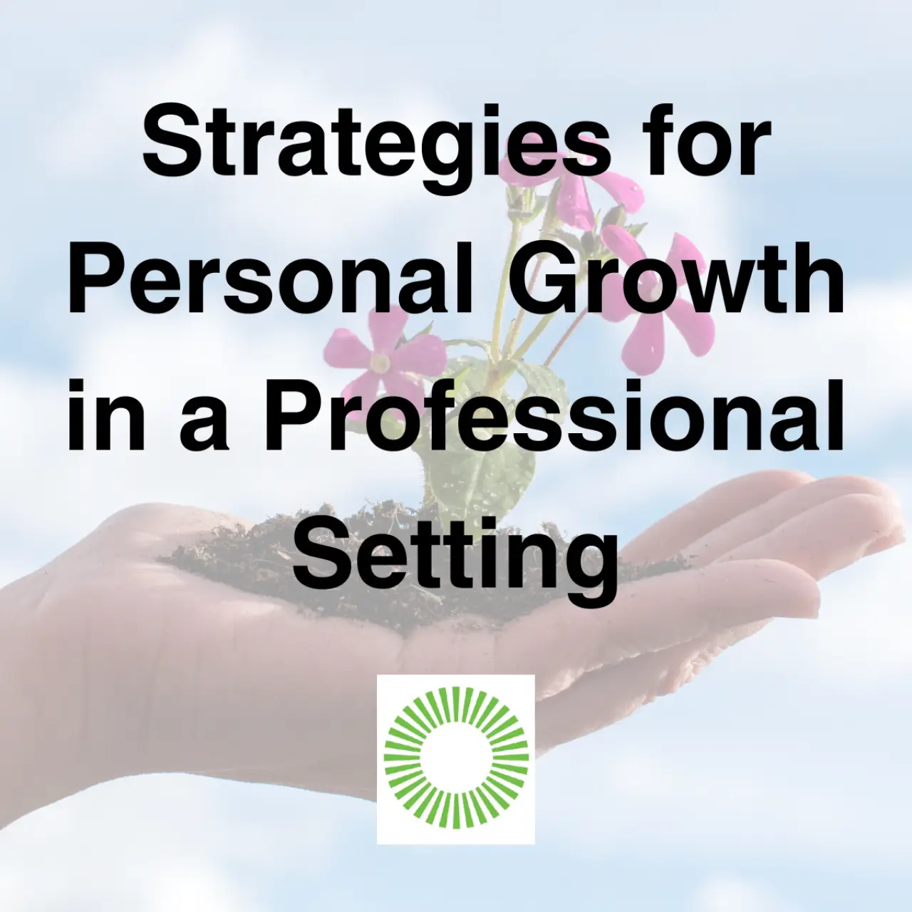 Strategies for Personal Growth in a Professional Setting