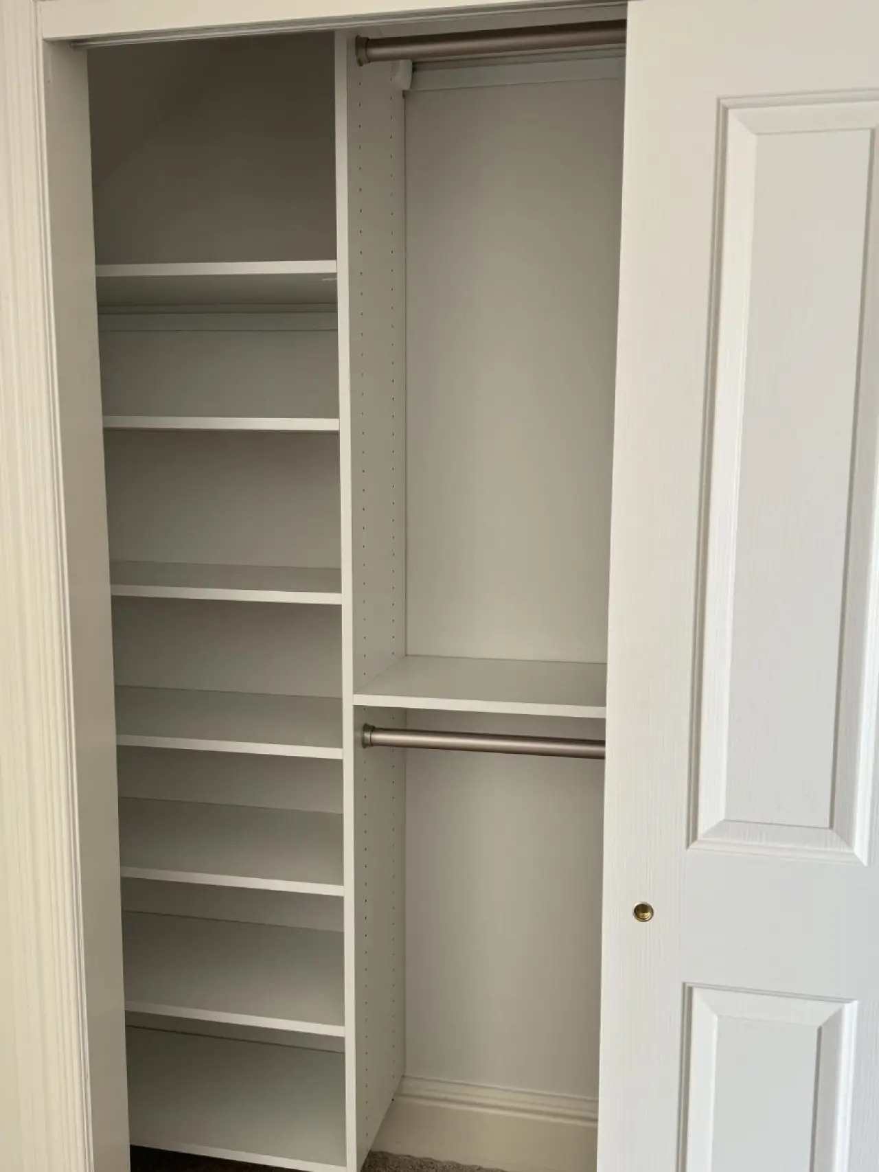White closet with shelves on the left and two metal hanging rods on the right, door open.