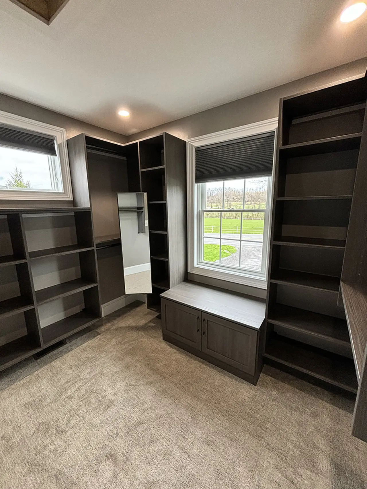Modern walk-in closet with dark shelves, gray carpet, and large windows letting in natural light.