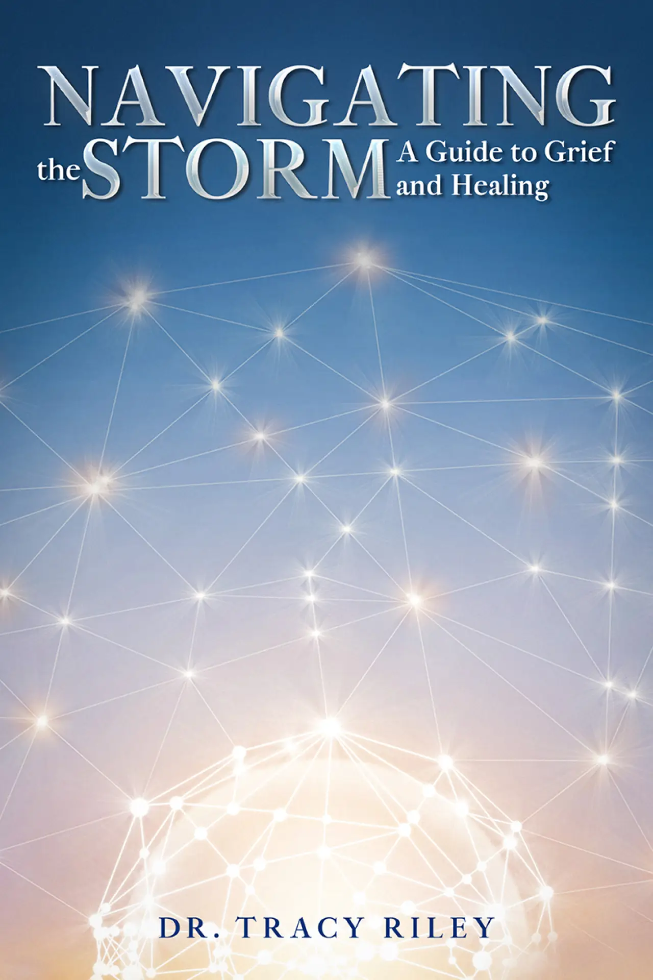 navigating the storm by tracy riley