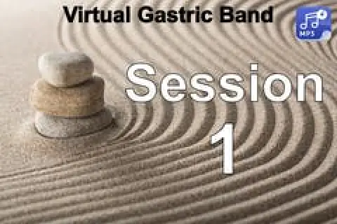 Stacked stones on raked sand with text: Virtual Gastric Band Session 1.