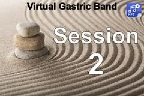 Stacked stones on raked sand with text: Virtual Gastric Band Session 2 and an MP3 icon.
