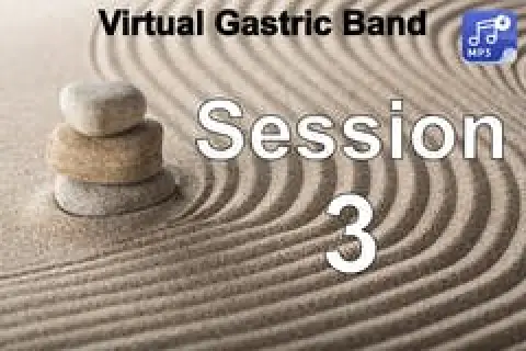 Stacked stones on raked sand; text reads Virtual Gastric Band Session 3.