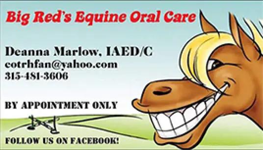 Big Reds Equine Oral Care