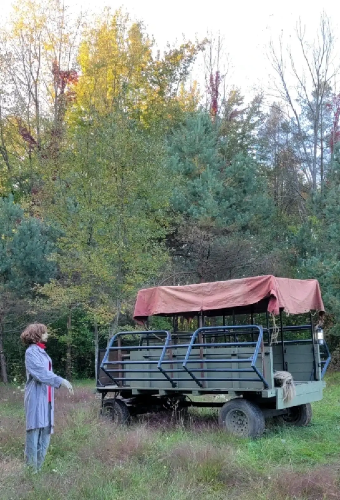 Walking Dead Wagon