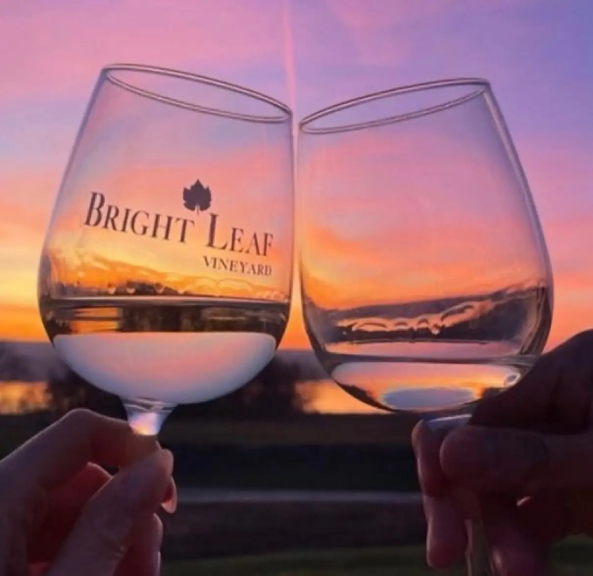 Bright Leaf Winery Tasting
