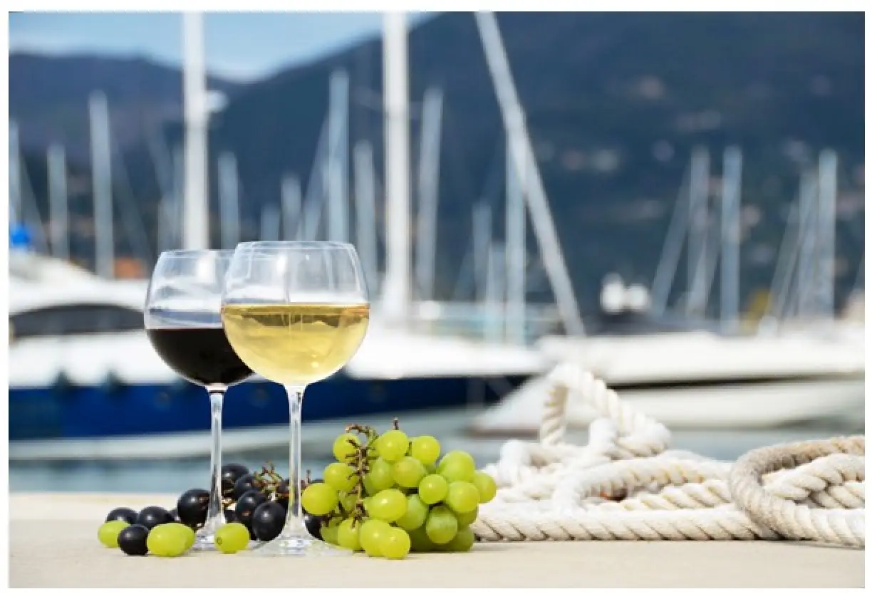 Grilling? Going to the Lake? Camping? Outdoor Event? There's a Wine for That!