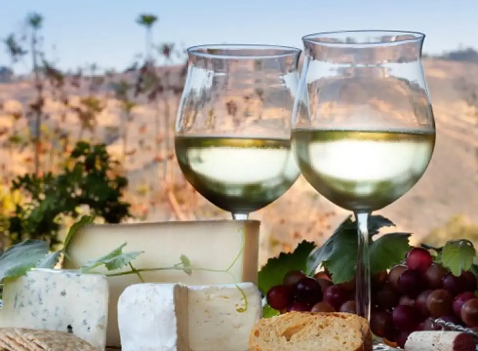Foley Family Spring Wine Selections