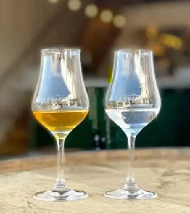 Cantera Negra Tequila and Gray Whale Gin Tastings