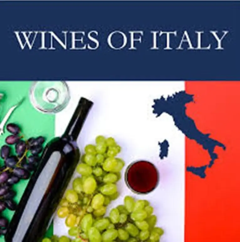 Italian Wine Tasting with "Wine Twist"