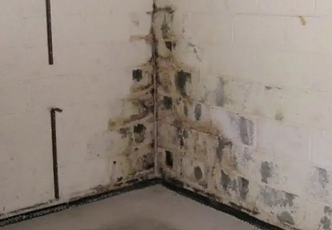 A corner of a dirty and moldy basement