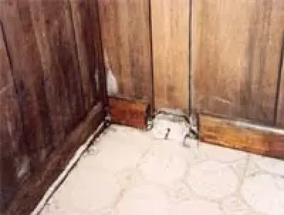 Damaged wall and baseboard in a corner, with mold and water stains near the floor.