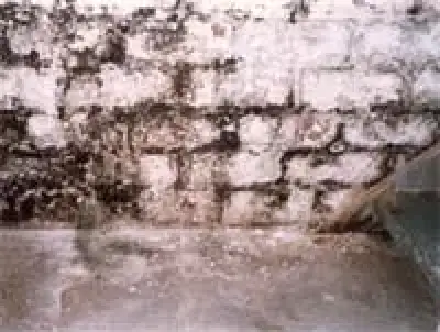 A damp, moldy wall with peeling paint and water damage near the floor.