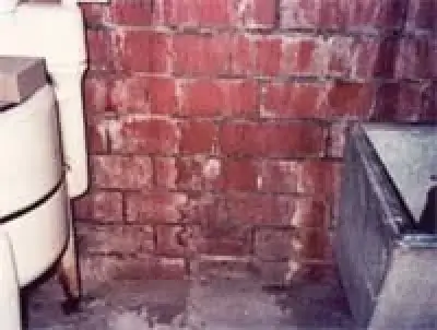 Red brick wall with white stains, next to a white sink and a gray utility basin.