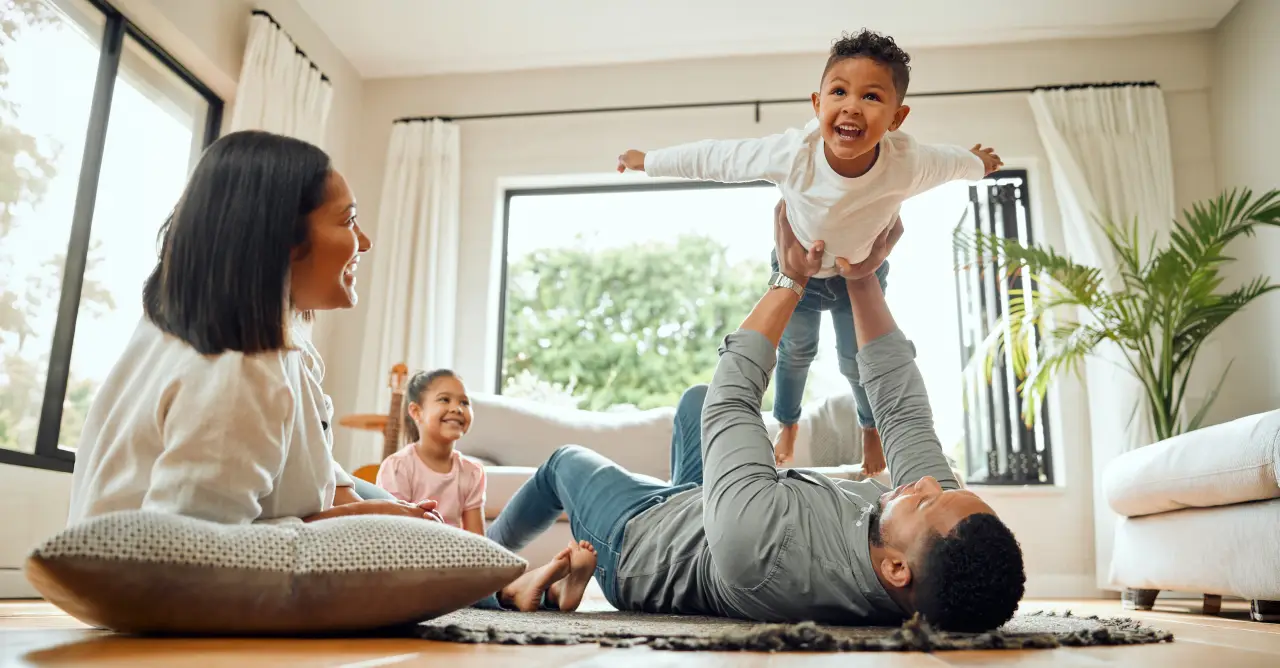 HomeAssist Program by LNB