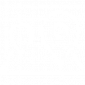 Home Icon