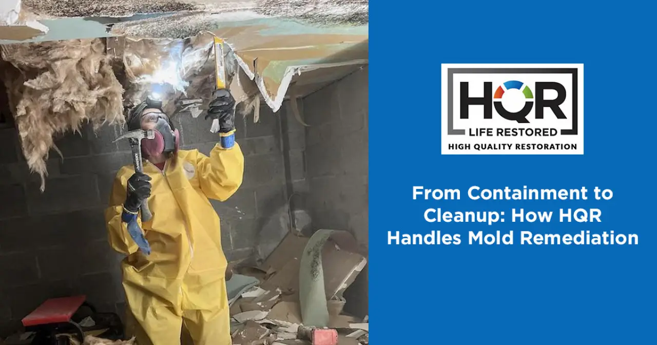 From Containment to Cleanup: How HQR Handles Mold Remediation