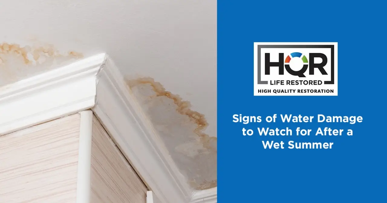 Signs of Water Damage to Watch for After a Wet Summer