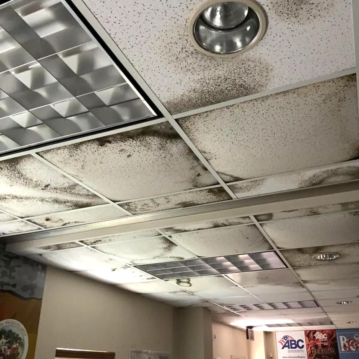 Ceiling tiles stained with water damage and mold in a room with fluorescent lights.