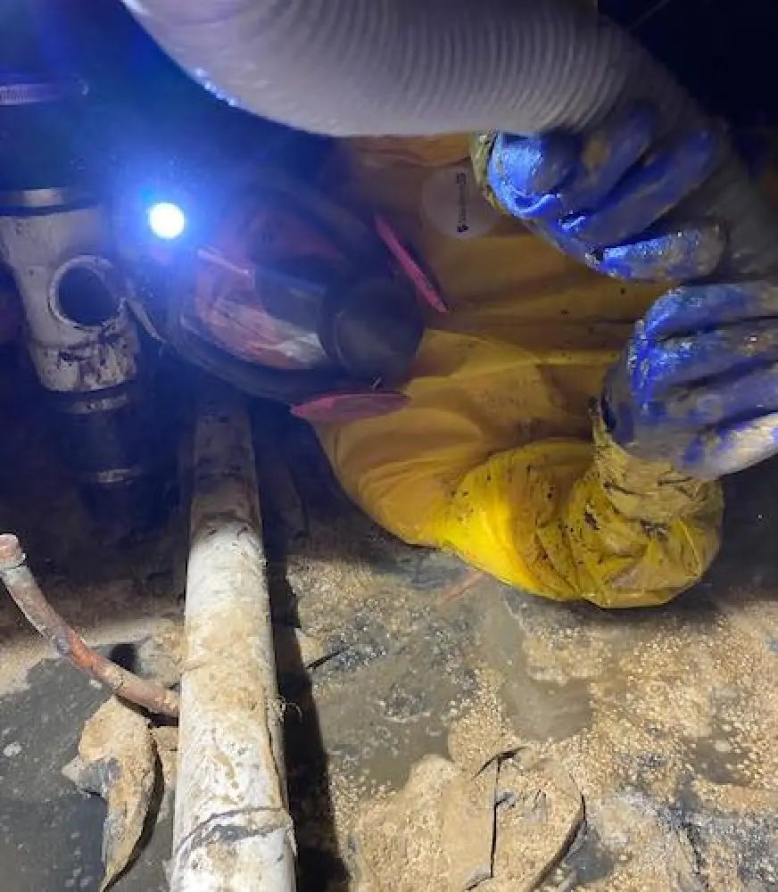 biohazard cleanup