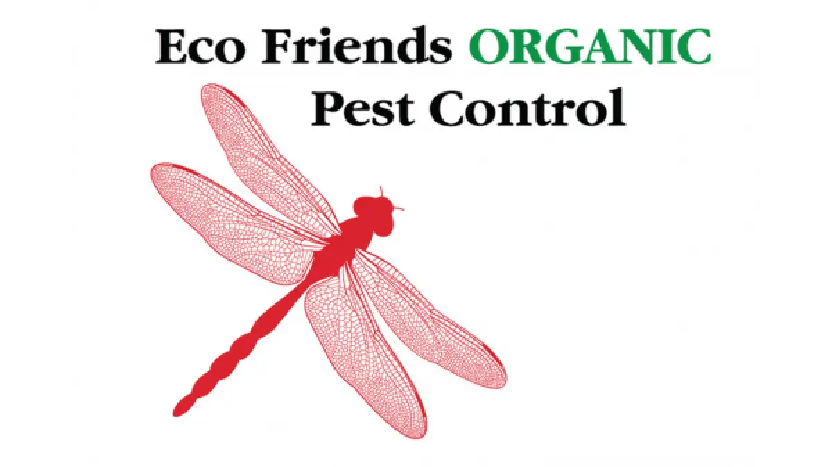 Eco Friends: Pioneering Eco-Friendly Pest Control with Blue Magic Naturals™